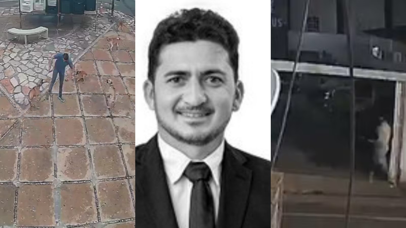 Dono de restaurante suspeito de envenenar animais foi atacado por cães 1 mês antes do crime, diz polícia