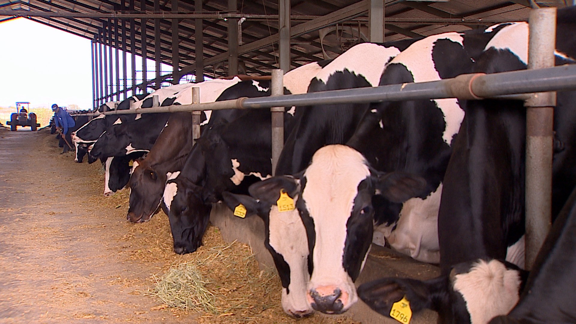 VÍDEOS: Estação Agrícola, 21 de junho de 2026