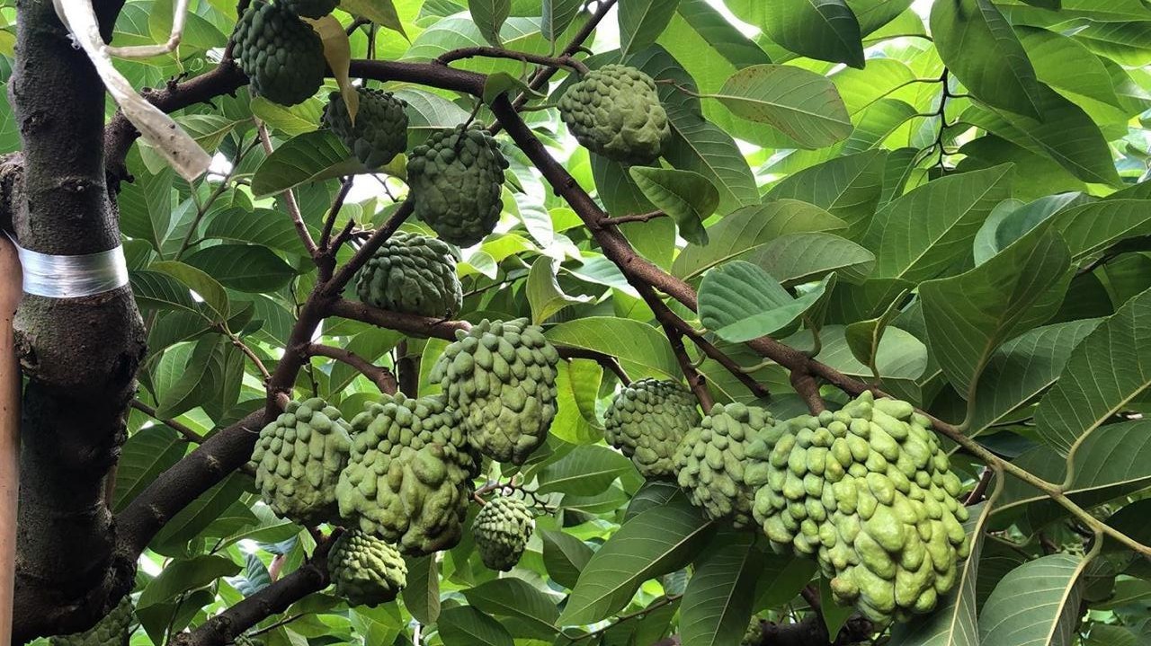 Itapetininga registra setembro mais chuvoso dos últimos 10 anos e acende alerta para produtores rurais