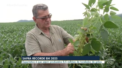 Produtores do Tocantins estimam recorde de 8,5 milhões de toneladas na safra de grãos