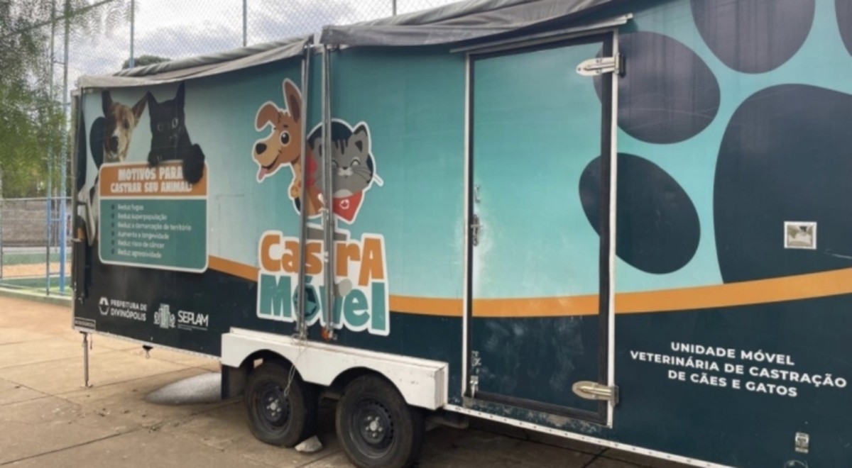 Castração de cães e gatos feita pela Prefeitura de Divinópolis é suspensa por falta de medicamentos 