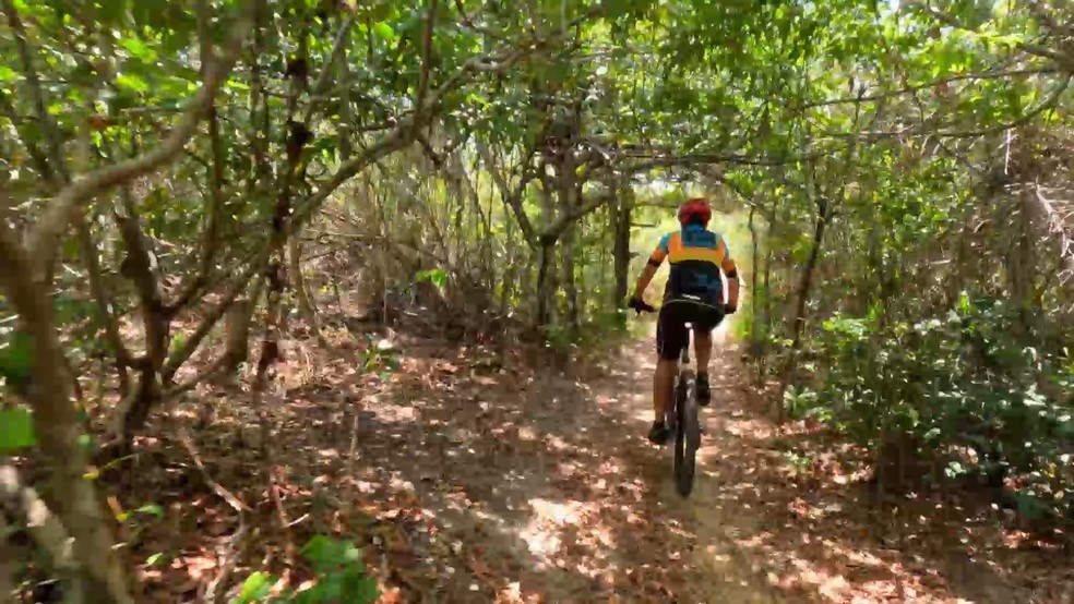 Passeio de bike em trilha do Parque Estadual de Itaúnas (ES) — Foto: Reprodução/TV Gazeta
