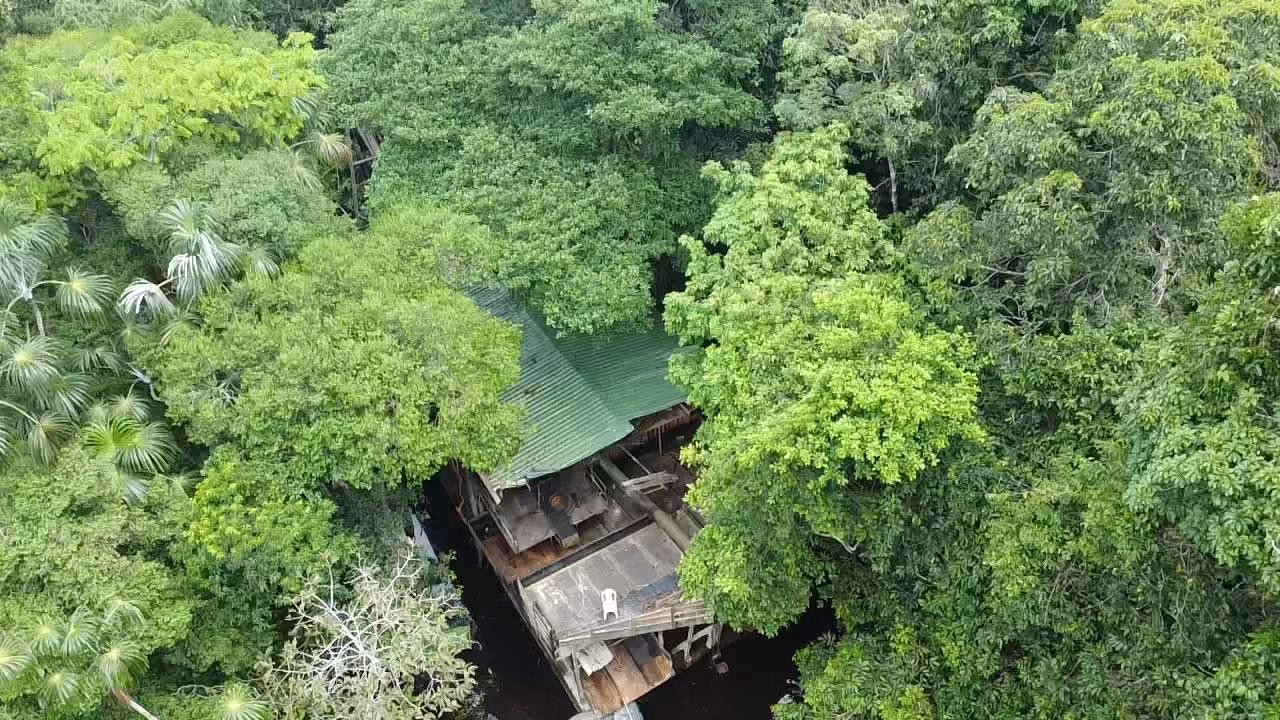 Imagens inéditas feitas por aeronave da FAB revelam dragas de garimpo ilegal em trecho do Rio Japurá no AM