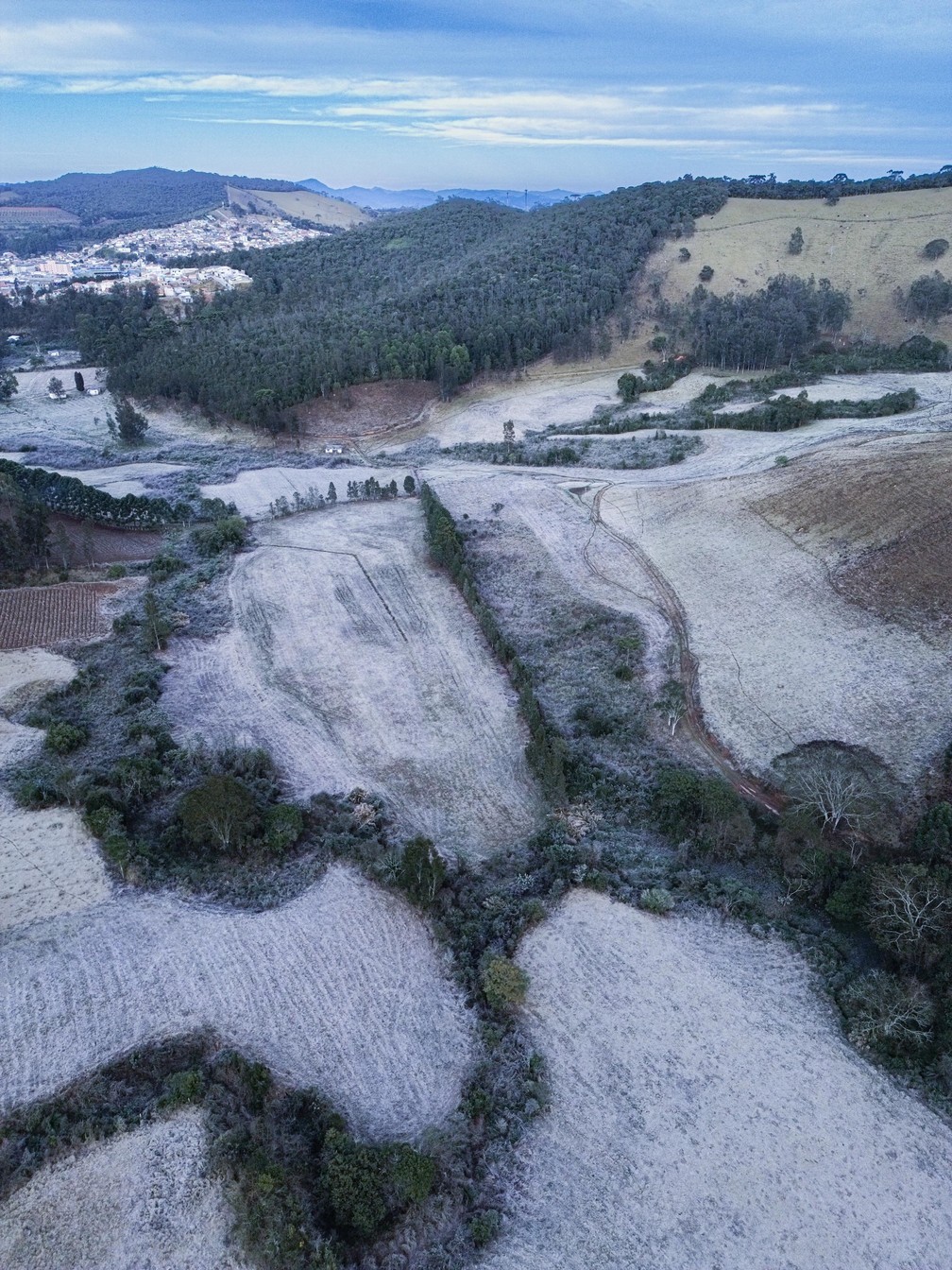 Frio em Maria da Fé (12/08/24) — Foto: William Siqueira