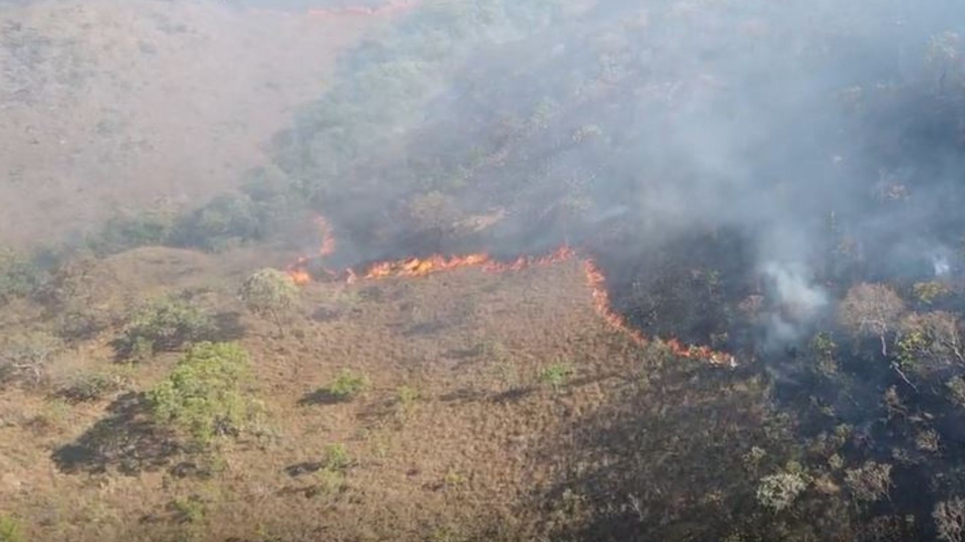 Incêndio destrói área da Chapada dos Veadeiros; fogo já dura 50 horas