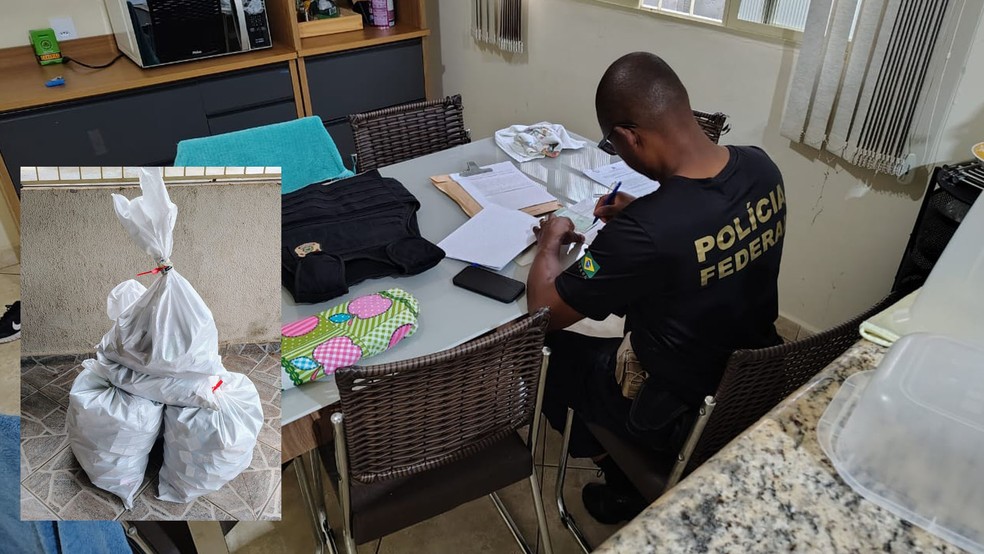 Agente da PF de Jales (SP), durante operação contra comércio ilegal de cigarros eletrônicos e congêneres, nesta quinta (12), em Santa Fé do Sul (SP) e Paranaíba (MS); no destaque, parte do material apreendido — Foto: Polícia Federal/Divulgação