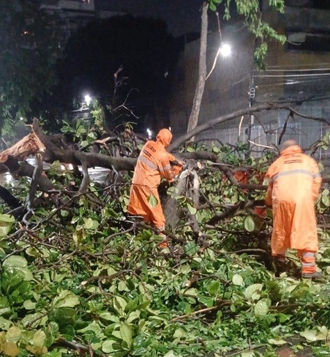 Rio tem madrugada de chuva forte com queda de árvores e poste