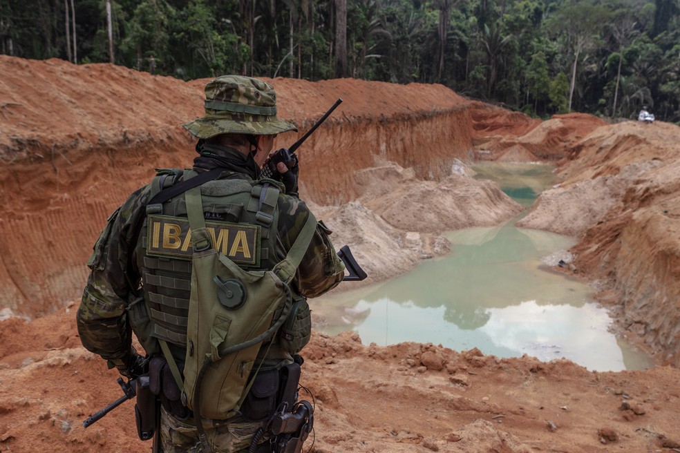 Seleção para o Ibama vai preencher oportunidades para Analista Administrativo e Analista Ambiental. — Foto: Foto: Divulgação/Ibama
