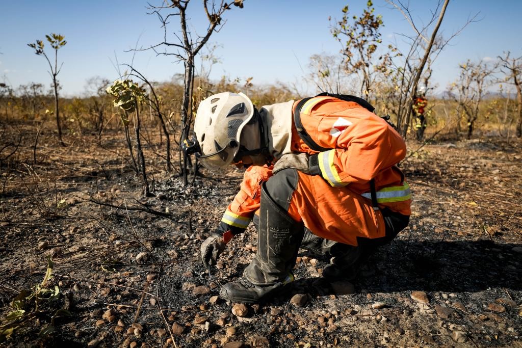 Operação ambiental em MT aplica R$ 78 milhões em multas em 10 dias