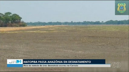 Matopiba ultrapassa a Amazônia em desmatamento; entenda