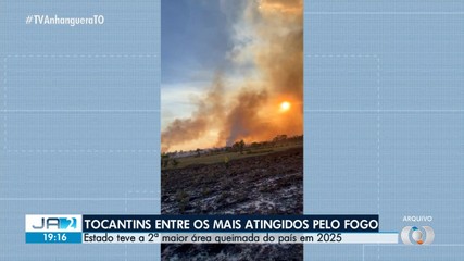 Tocantins foi o segundo estado que mais queimou no país em 2025