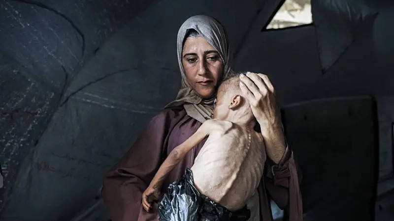 Mais de 100 agências humanitárias relatam 'fome generalizada' em Gaza; Israel culpa Hamas