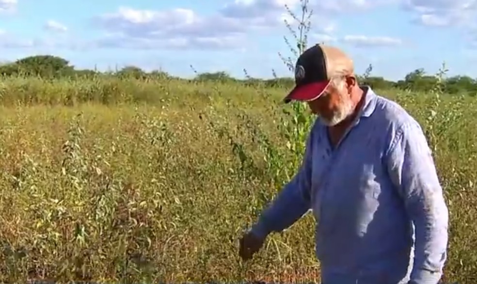 Agricultor em Mossoró: plantação de Tarcísio ficou abaixo de 10% neste ano — Foto: Reprodução/inter TV Costa Branca
