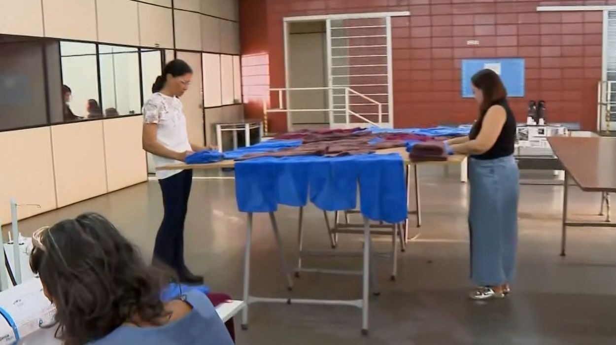 Campanha arrecada roupas de frio e voluntárias costuram para animais de rua no interior de SP