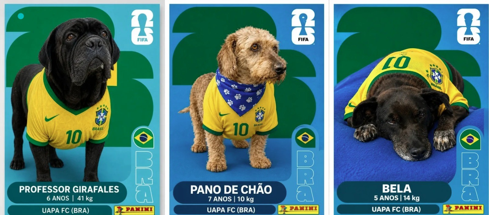 Cães para adoção vestem camisa do Brasil e viram figurinhas da Copa do Mundo