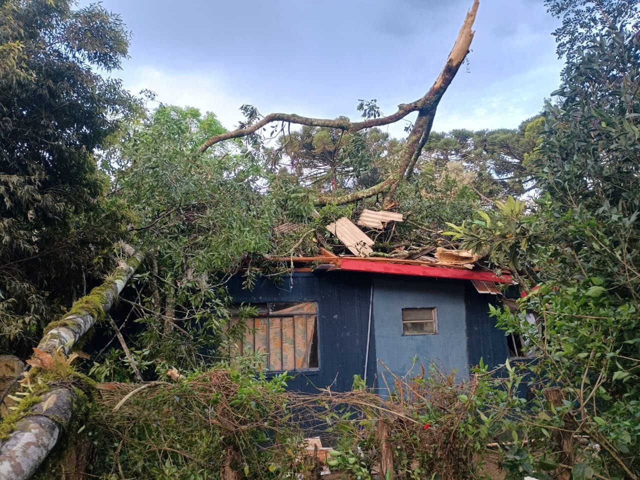 Temporais deixam rastro de destruição em cidade do PR atingida por tornado 53 dias antes; meteorologistas analisam se fenômeno se repetiu