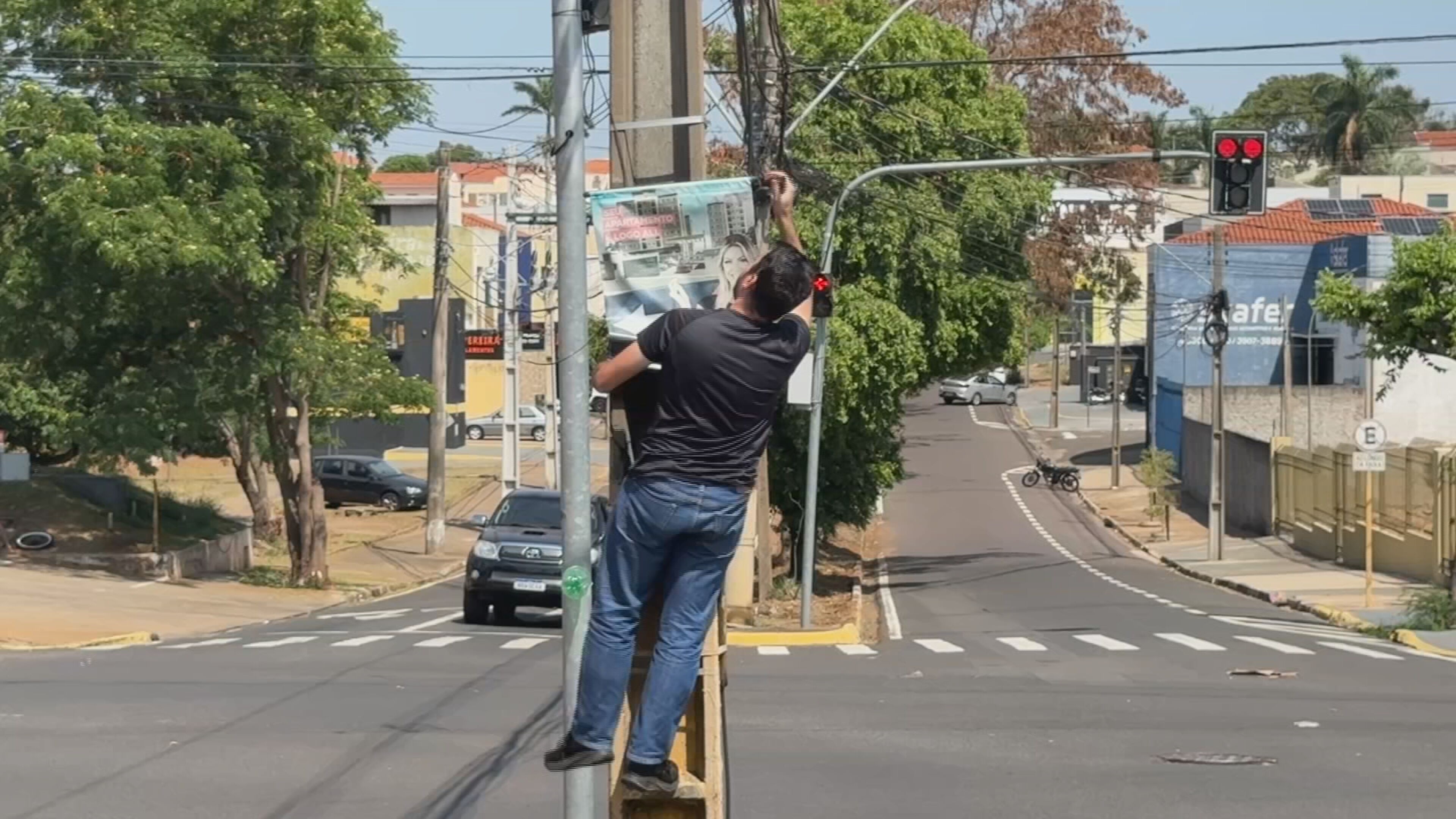 Em um dia, prefeitura retira mais de 700 placas irregulares de canteiros em Presidente Prudente