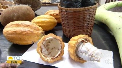 Expositores da Agrotins têm espaço ampliado e foco na sustentabilidade