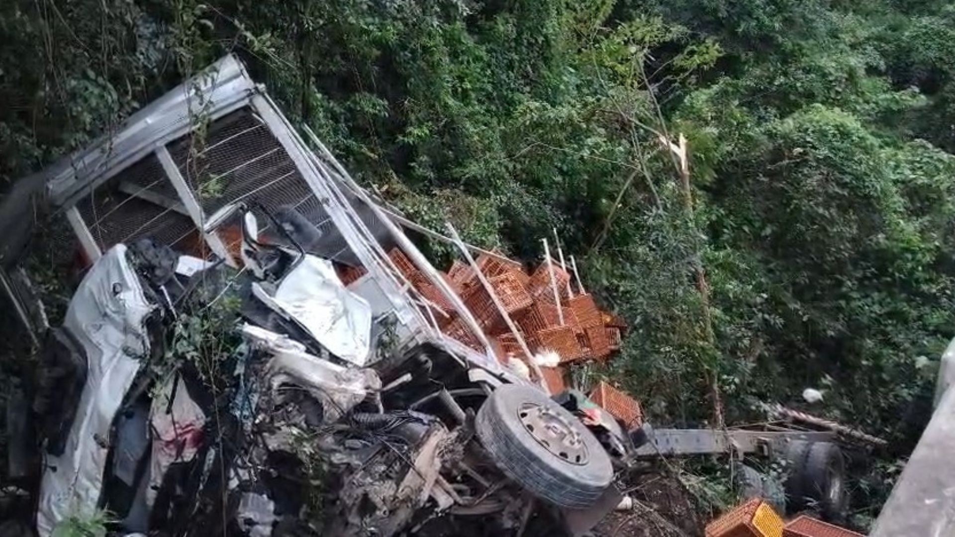 Caminhão carregado de perus vivos sai da pista e cai de ponte na BR-386, em Marques de Souza