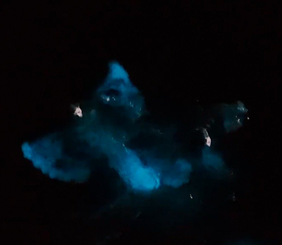 Moradores brincam com efeito de bioluminescência em Arraial do Cabo, na Região dos Lagos — Foto: Drone Adventures de Arraial