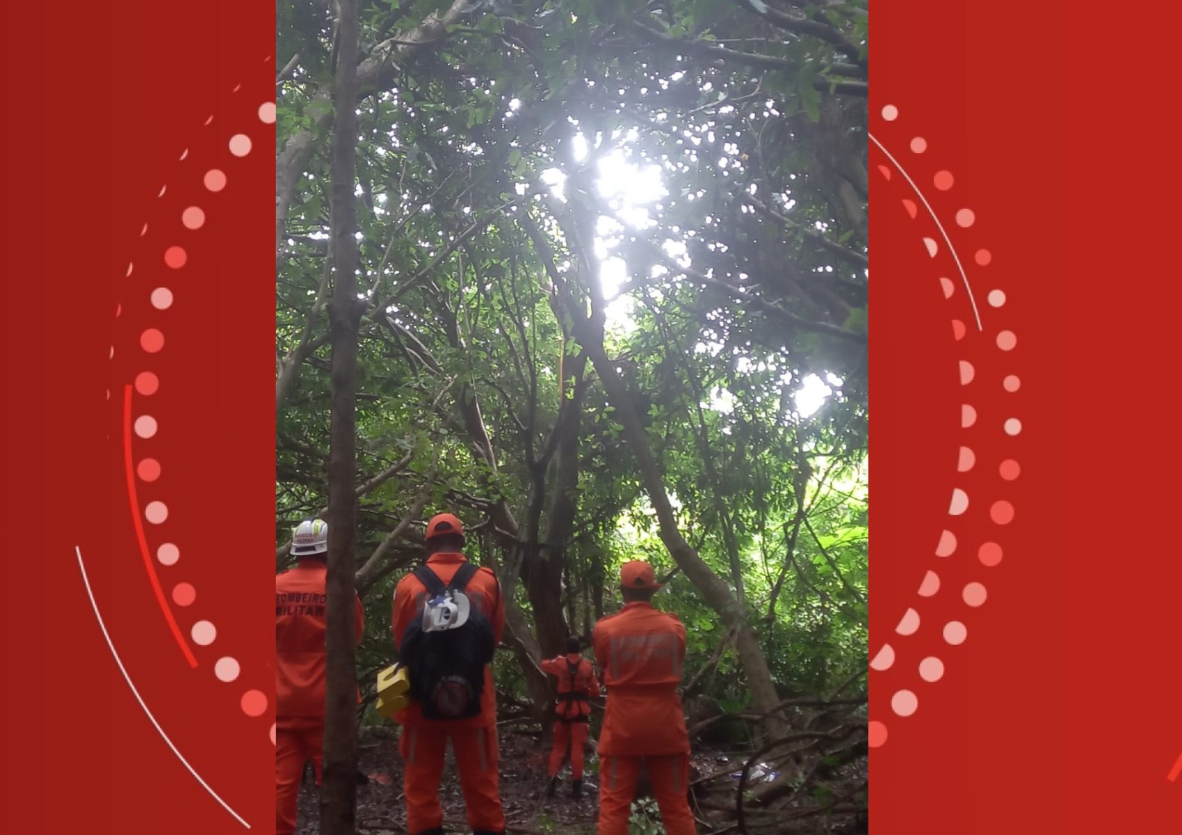 Corpo de Bombeiros tenta resgatar jovem em cima de árvore em Salvador; homem estava desaparecido há dois meses