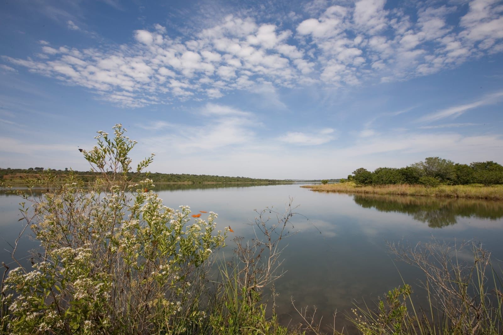 Restauração é chave para resiliência hídrica e sustentabilidade no Pantanal