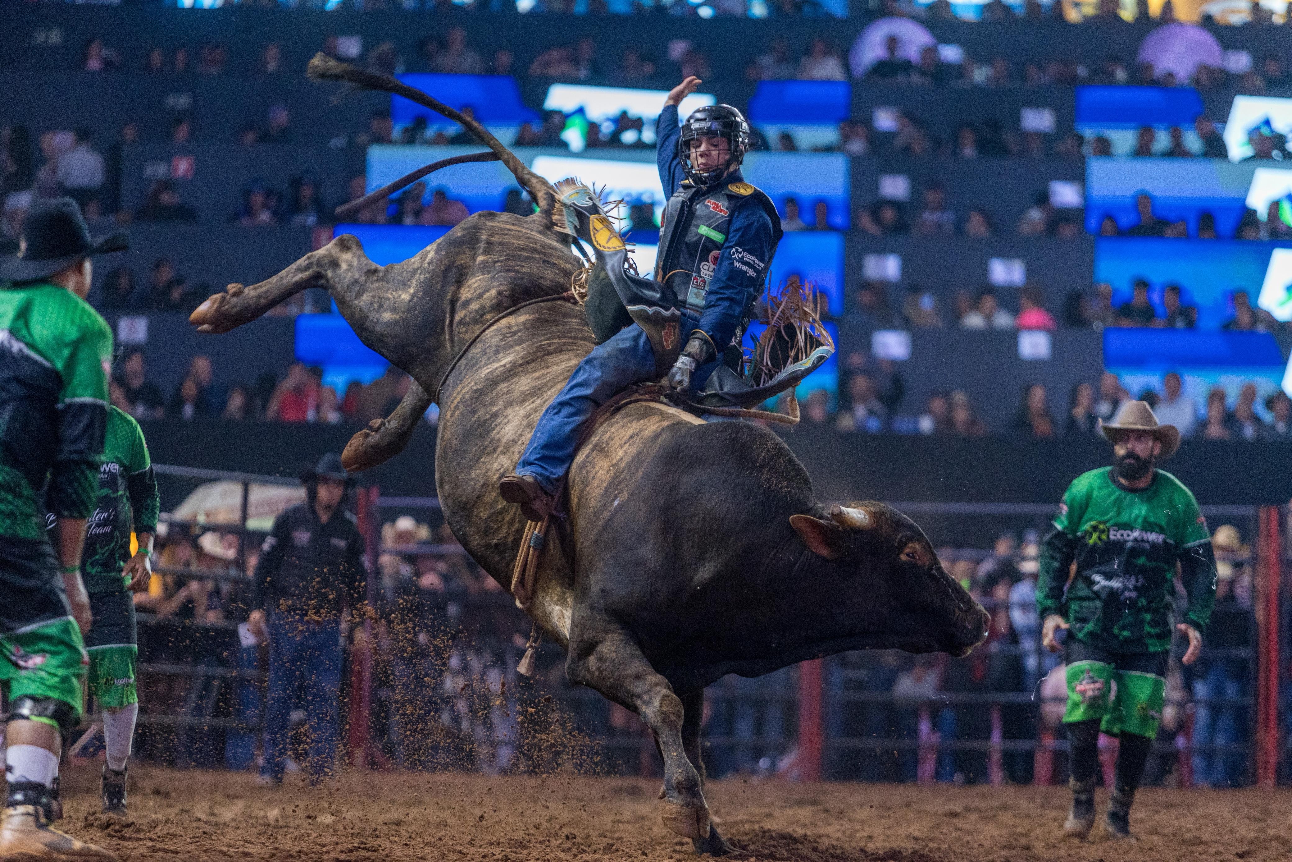 Alan de Souza e Ana Laura Savini Gomes vencem provas de montaria na 2ª noite do Rodeio de Americana de 2025