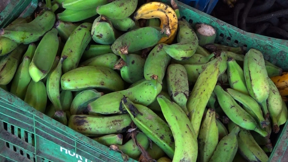 Banana que iria para o lixo vira amido que pode abastecer indústria no Espírito Santo — Foto: Reprodução/ TV Gazeta