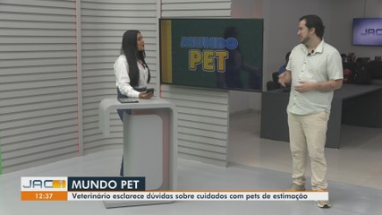Veterinário esclarece dúvidas sobre cuidados com pets