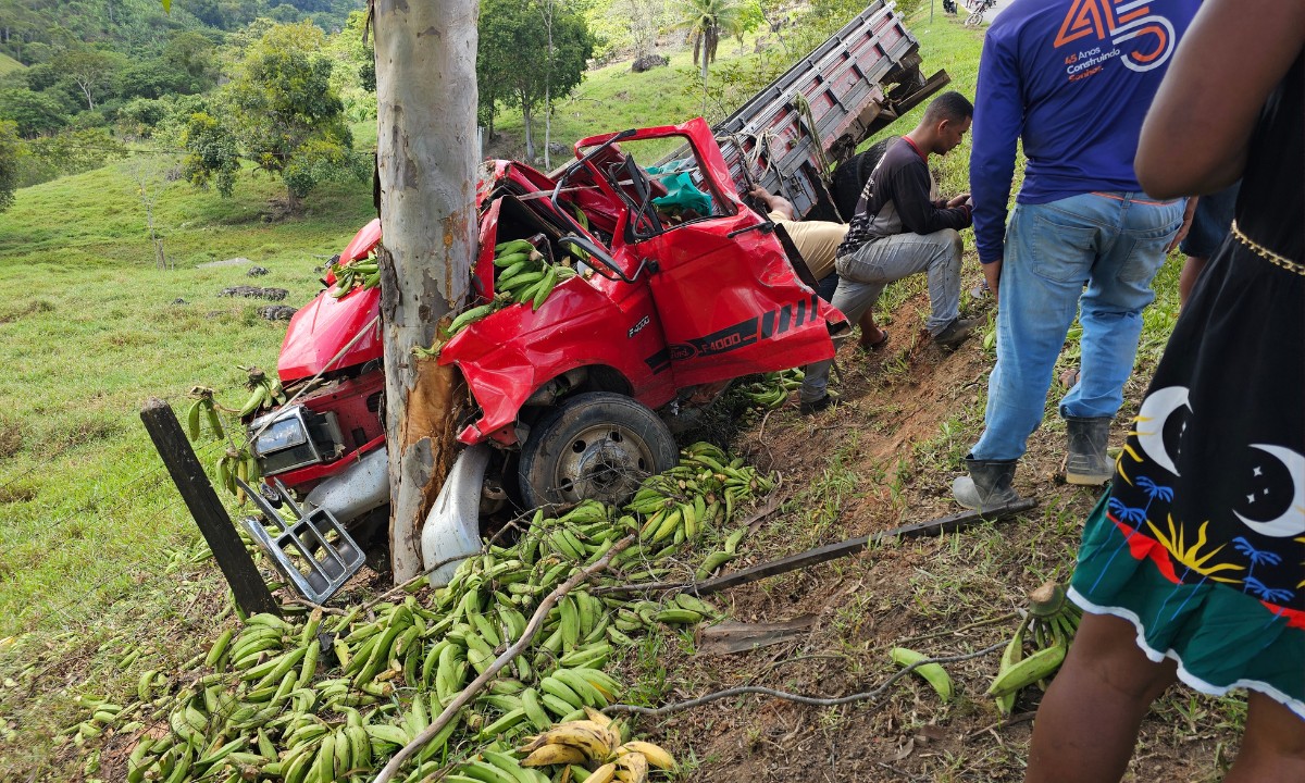 Caminhão colide em árvore após se  envolver em acidente com caminhonete em Mutuípe