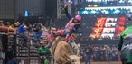 Rijproeven op het Americana Cowboy Festival