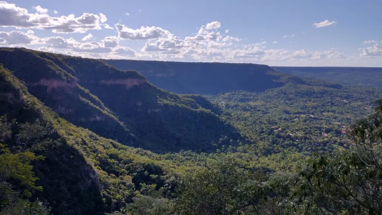 Primeira floresta nacional do Brasil, Flona Araripe completa 79 anos de criação, no Ceará