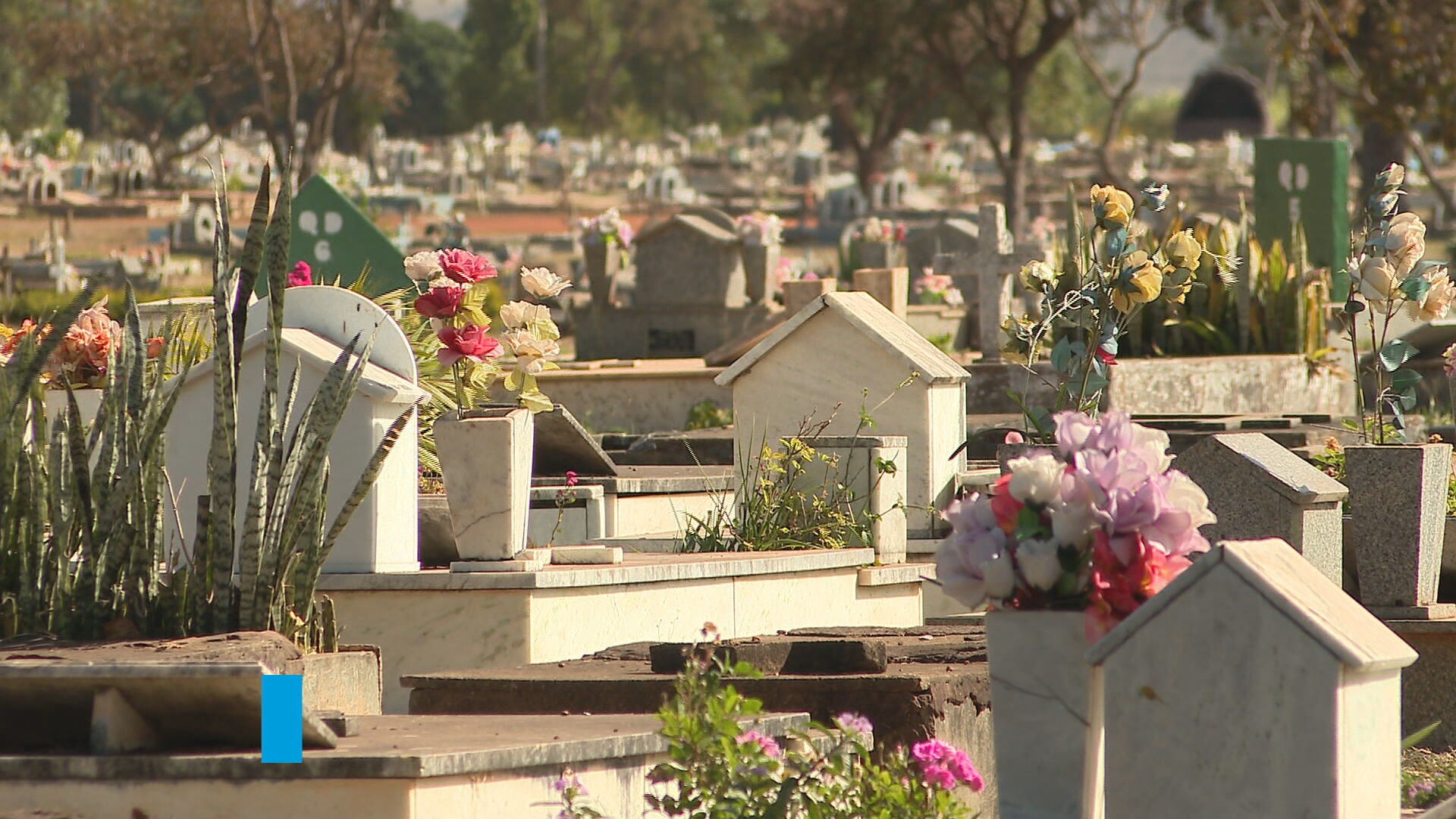 Auxílio por morte no DF: saiba quem tem direito e como pedir