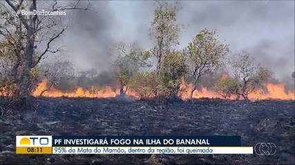 Polícia Federal vai investigar fogo na Ilha do Bananal