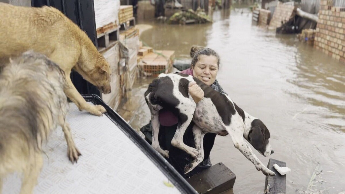 Mulher que estava em abrigo volta à casa coberta pelas águas para resgatar os cachorros da família