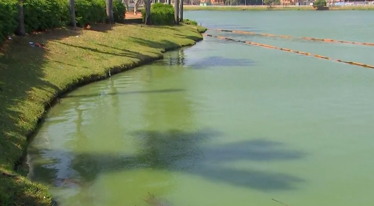 Cor esverdeada faz Semae suspender captação de água no Lago 1 da represa de Rio Preto