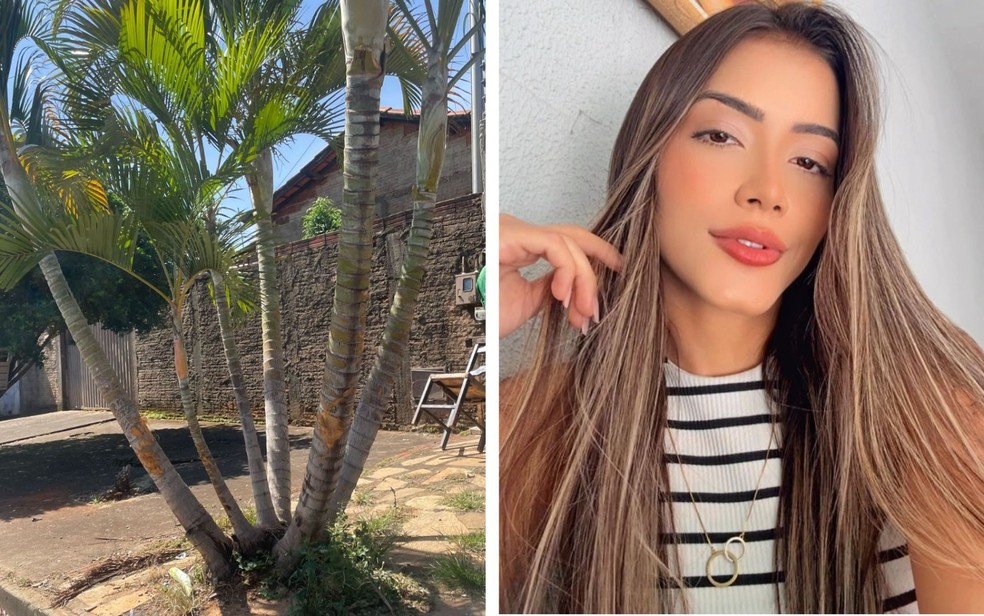 Tiffany morreu aps bater de moto em uma rvora, em Gois  Foto: Reproduo/Redes sociais