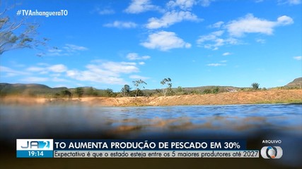 Tocantins aumenta produção de pescado em 30%