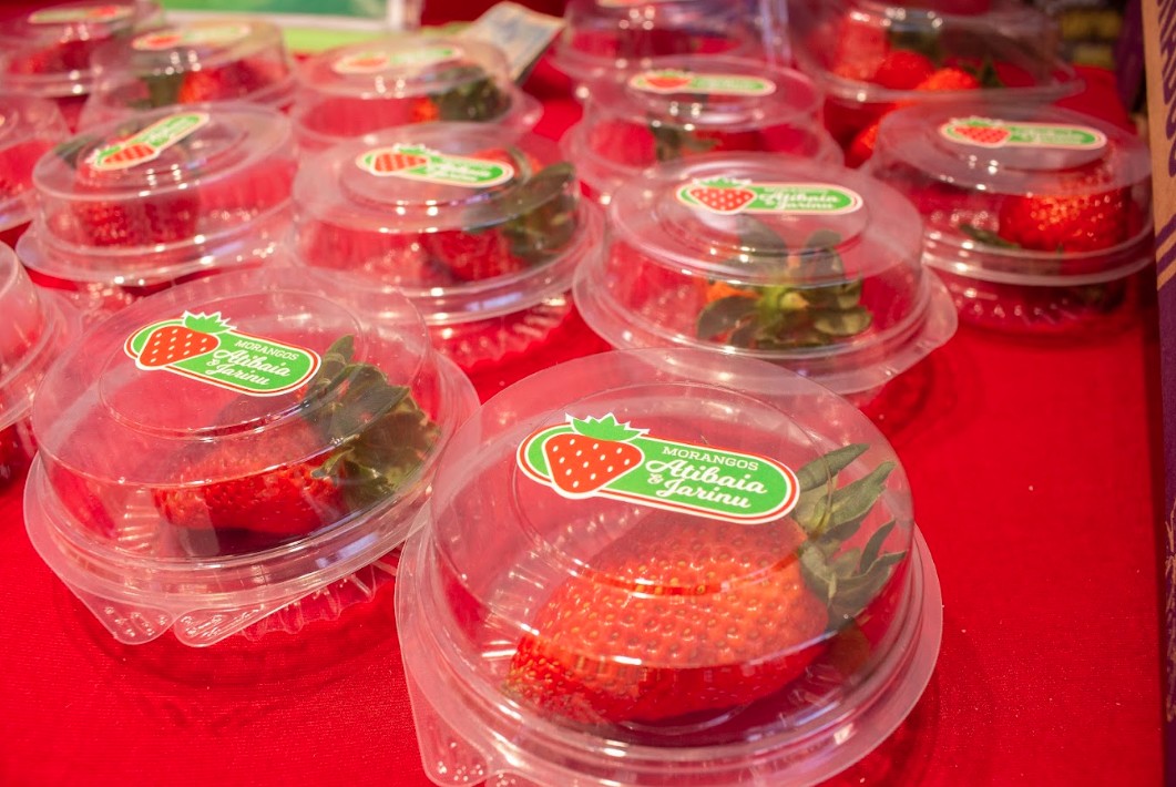 Entre cores, sabores e tradições vem aí a Festa de Flores e Morangos de Atibaia