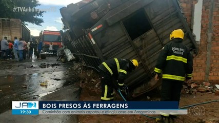 Bois ficam presos às ferragens após caminhão tombar no interior do Tocantins