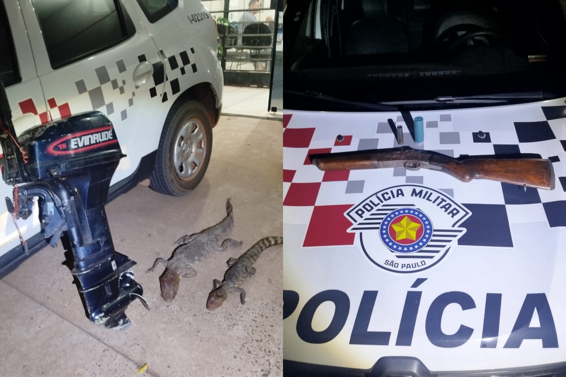 Homem é preso no interior de SP por caça ilegal após matar dois jacarés