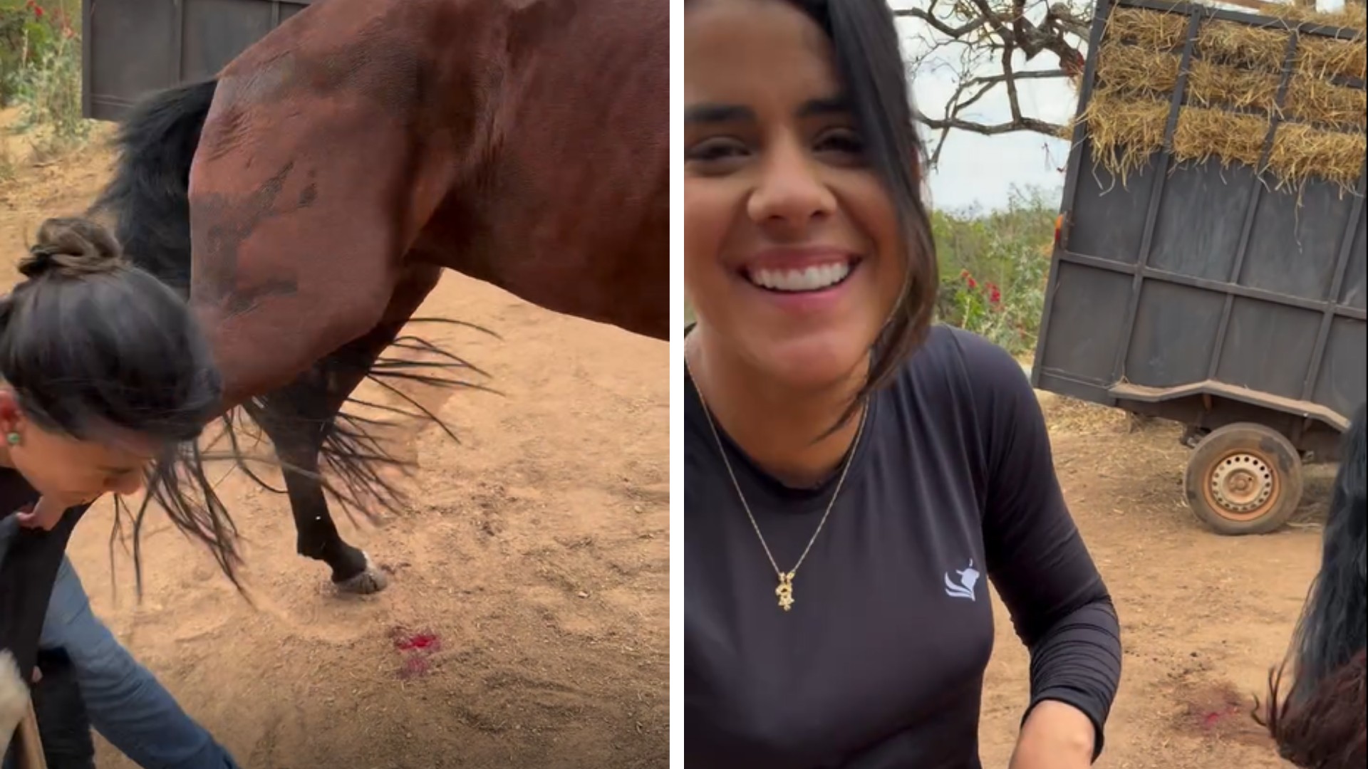 Cavalo dá coice e derruba veterinária enquanto ela gravava vídeo