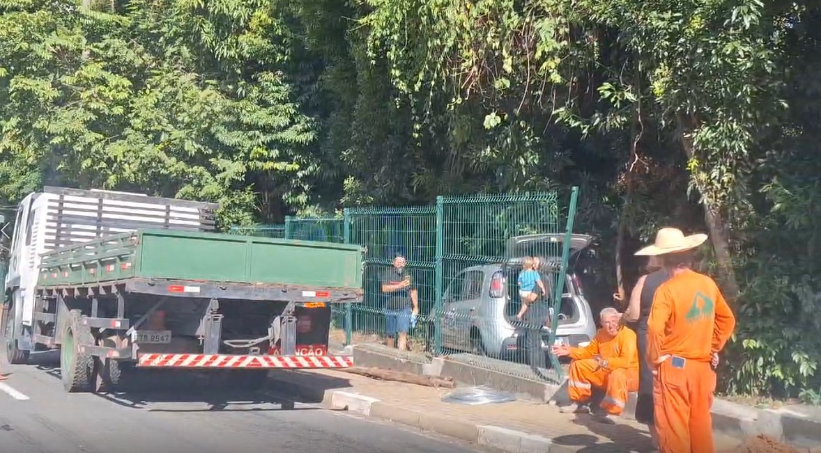 Motorista perde controle de carro e invade Bosque dos Jequitibás em Campinas