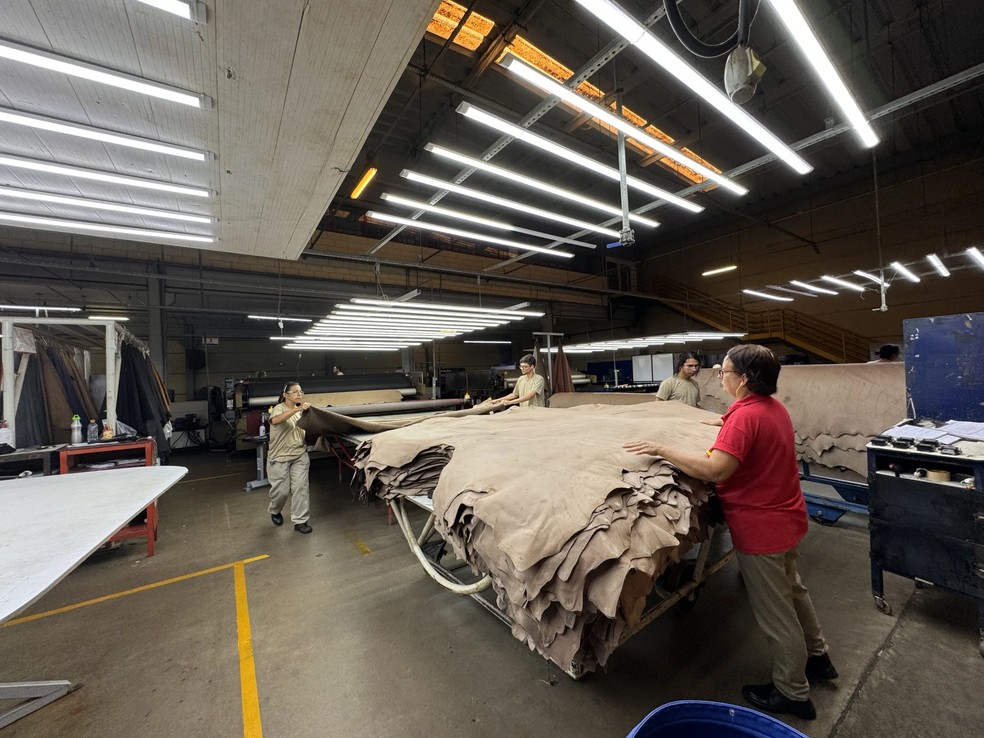 Planta produtiva da JBS Couros — Foto: Divulgação JBS