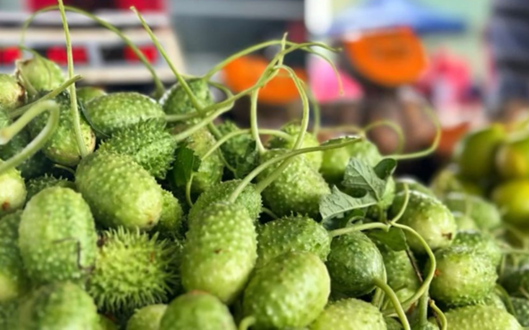 Feirantes da baixada cuiabana levam sabores e tradição para a Expoagro