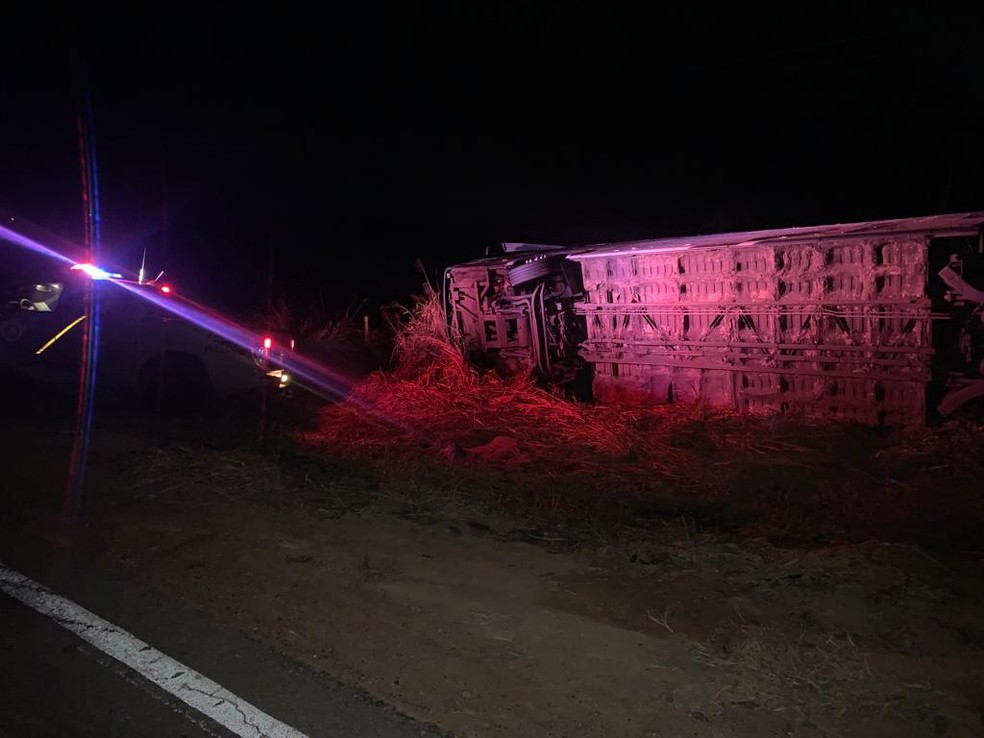 Estudante de medicina morre após batida entre ônibus e caminhão no sudoeste da Bahia   — Foto: Divulgação/PRE