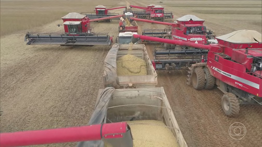 Tecnologia e clima dão vantagem competitiva ao agronegócio brasileiro sobre países europeus — Foto: Jornal Nacional/ Reprodução