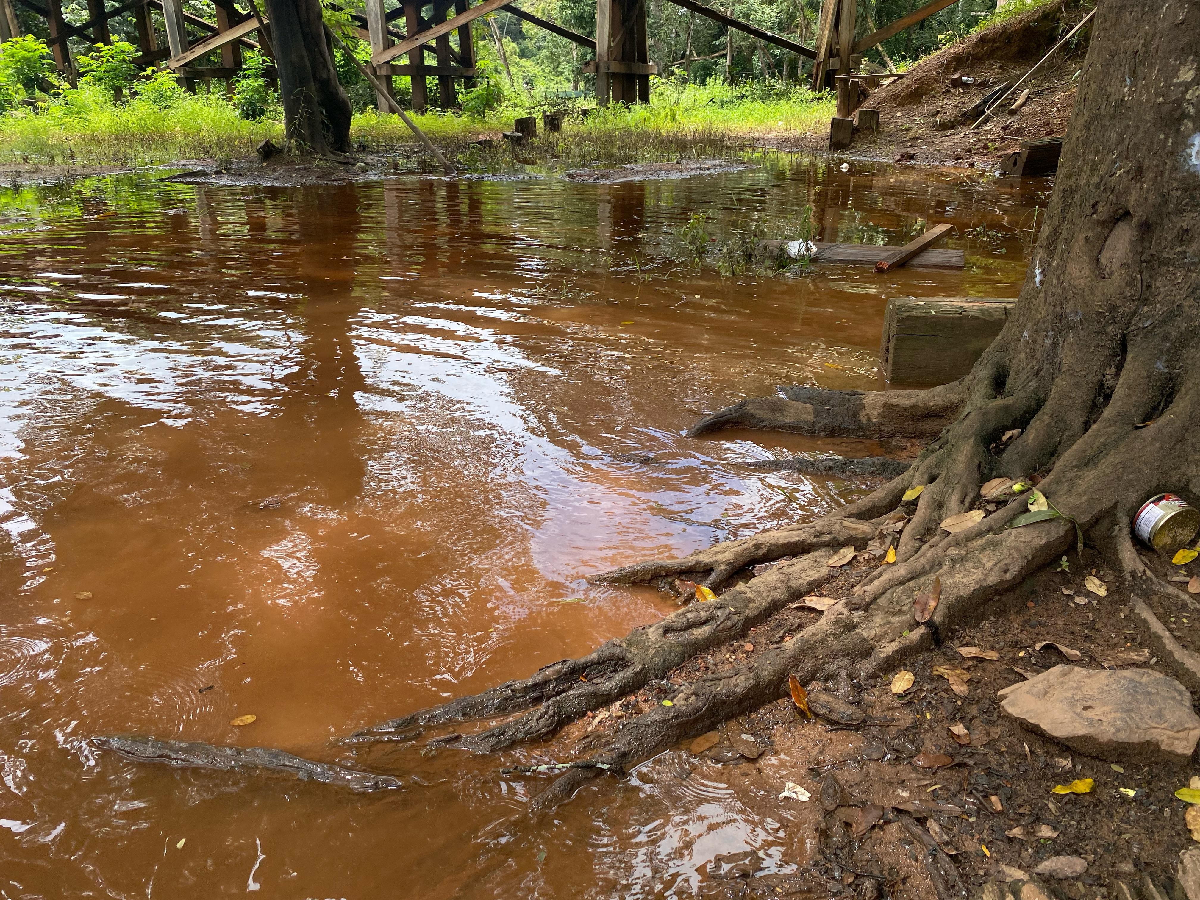 MPF pede indenização de R$ 51,6 milhões por rompimento de barragem de garimpo ilegal no Amapá