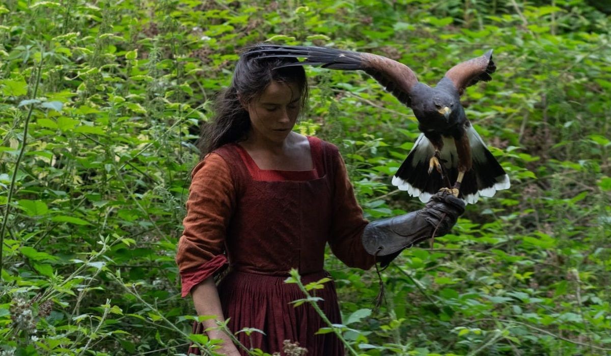 Truque animal: a curiosidade escondida nas aves do filme 'Hamnet'; favorito ao Oscar