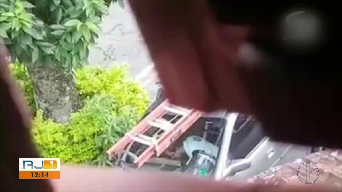 Homem joga filhotes de gato no meio da rua e Polícia Civil de RR investiga  abandono; VÍDEO, Roraima